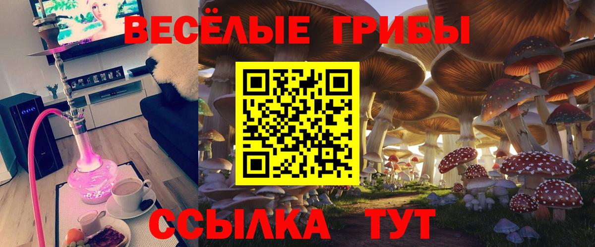 Галлюциногенные грибы мицелий  Псилоцибиновые грибы мухоморы  Вход с VPN  Жигулёвск 