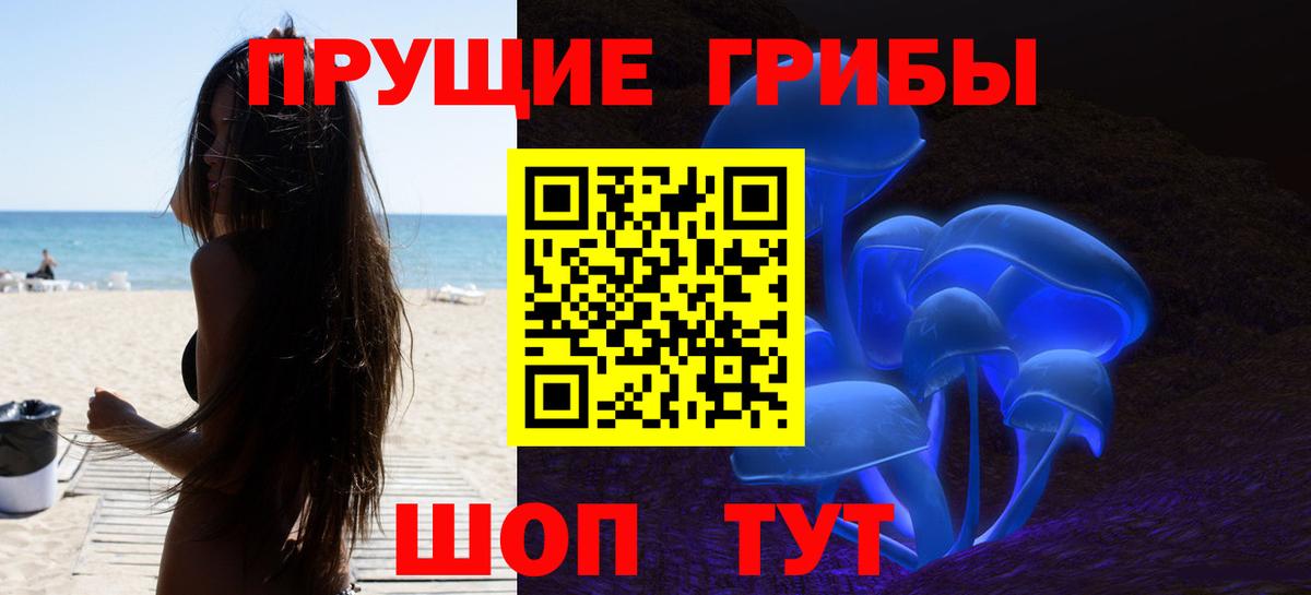 Галлюциногенные грибы Psilocybe Жигулёвск